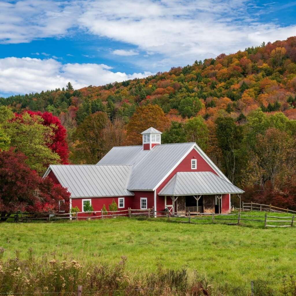 Cabin with a stunning view